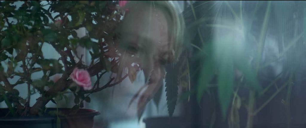 Woodshock