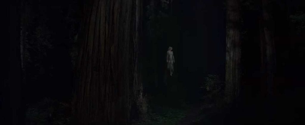 Woodshock